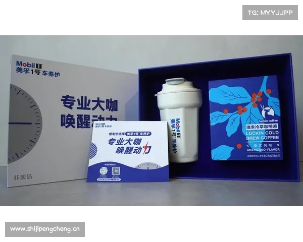 两大战略发布,美孚1号车养护5周年品牌焕新再提速 两大战略发布,美孚1号车养护5周年品牌焕新再提速