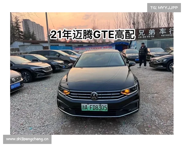 临沂男子购一汽迈腾车漆脱落 车主怀疑非新车 临沂男子购一汽迈腾车漆脱落 车主怀疑非新车